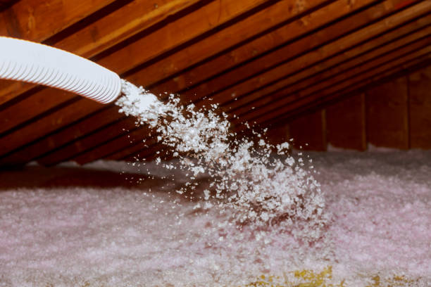 Best Types of Insulation in Excelsior Springs, MO